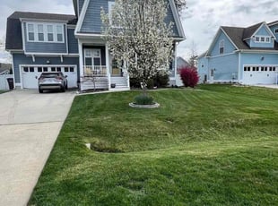Gloria N.'s grass cutting service result