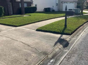 Debra C.'s lawn care service result