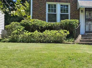 Rodney R.'s Bush Trimming service result