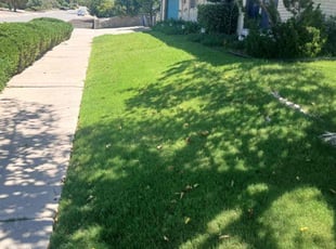 Mary L.'s turf maintenance service result