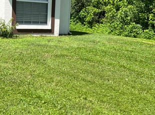 Brandon M.'s turf care service result