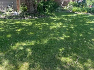 Richatd C.'s lawn care services service result