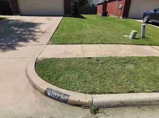 Janis R.'s turf care service result