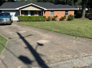 Samantha R.'s lawn care service result