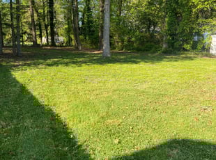 Nancy H.'s lawn care services service result
