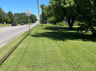 Holly S.'s grass cutting service result