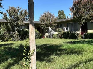 Damian P.'s lawn service service result