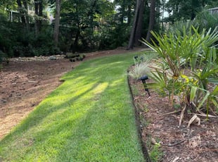 Sarah P.'s lawn care service result