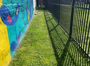 Mark H.'s grass maintenance service result