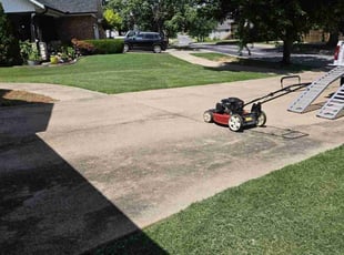 Jim H.'s grass maintenance service result