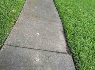 Jack D.'s grass maintenance service result