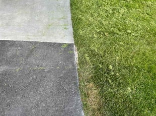Lisa M.'s Long Grass Cleanup service result