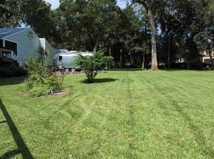 Michelle K.'s lawn care services service result