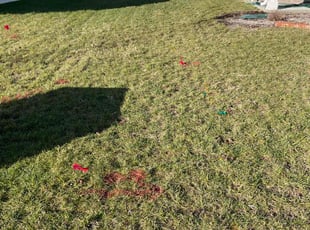 David W.'s turf maintenance service result