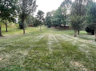Samantha P.'s lawn maintenance service result
