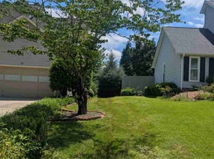 Jeng C.'s lawn maintenance service result