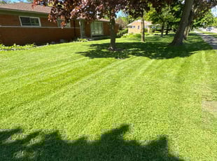 Kenneth W.'s turf maintenance service result