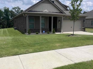 Bethaline C.'s lawn care services service result