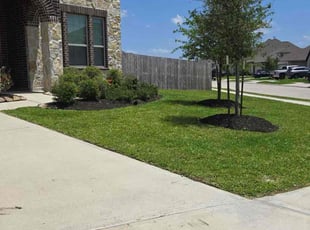 Emily T.'s turf maintenance service result