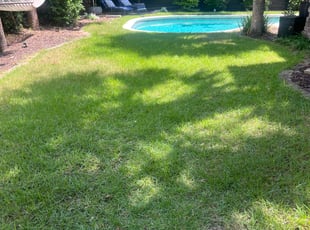 Natalie M.'s grass cutting service result