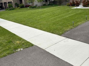 BRITTANY H.'s turf maintenance service result