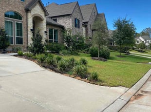 Anthony H.'s lawn maintenance service result
