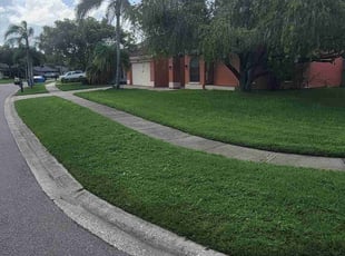 Peter V.'s grass cutting service result