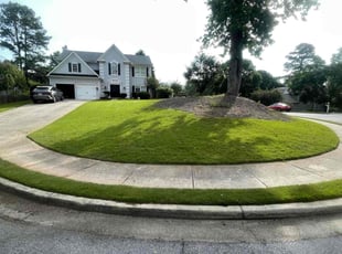 Darlie A.'s lawn maintenance service result