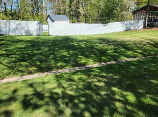 Tamika T.'s grass maintenance service result