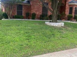 Craig P.'s turf maintenance service result