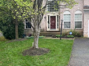 Greg G.'s lawn care services service result