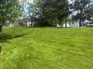 Barbara S.'s lawn maintenance service result