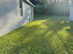 Kimberly S.'s lawn service service result