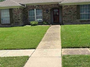 Darius B.'s lawn care service result