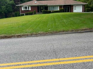 Trevor C.'s lawn service service result