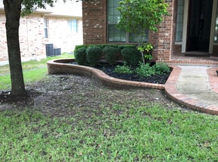 Kat D.'s Bush Trimming service result