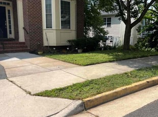 Austin B.'s lawn maintenance service result