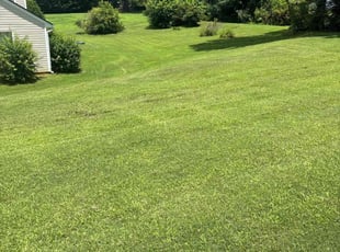Richard B.'s lawn maintenance service result