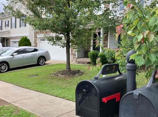Linda K.'s lawn care service result