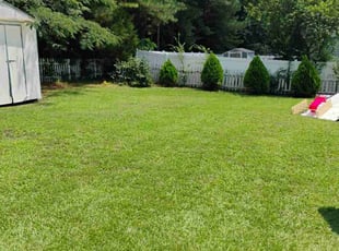 Khalid B.'s turf maintenance service result