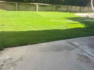 Erin r.'s grass maintenance service result