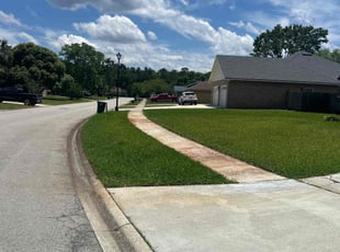 Ives D.'s turf care service result