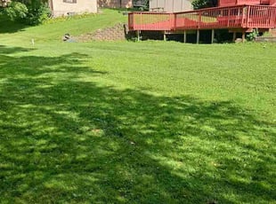 Greg R.'s grass cutting service result