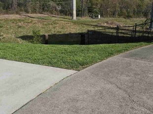 Sabrina S.'s lawn care services service result