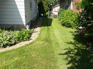 Stephen B.'s turf maintenance service result