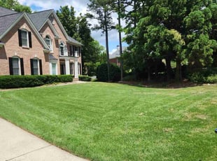 Amol B.'s grass cutting service result