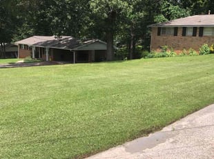 Donald P.'s lawn care service result
