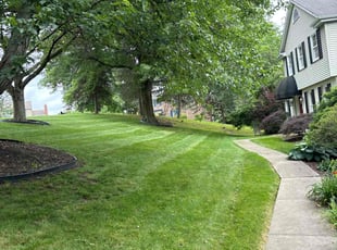 Charles A.'s turf maintenance service result
