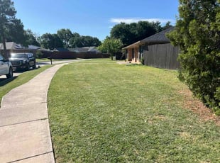 Susie B.'s grass maintenance service result