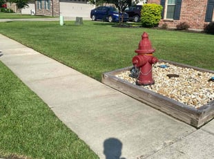 Geneva S.'s lawn care service result